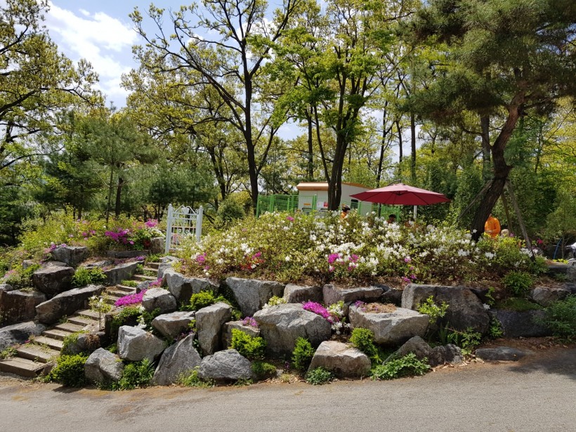 096697fa4b222767f0cc435d3943b6dd_1496373